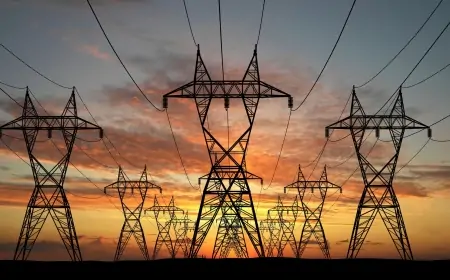 Electric Distribution Companies in Turkey