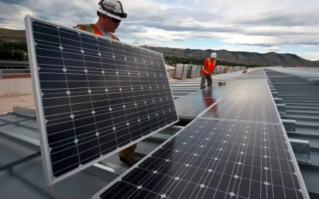 No Incentives for Solar Panels Manufactured Without Local Materials