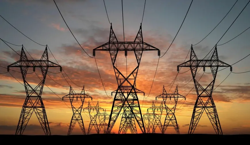 Electric Distribution Companies in Turkey