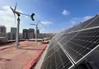 Tumurly®, Leading the Future with Sustainable Wind Energy Solutions